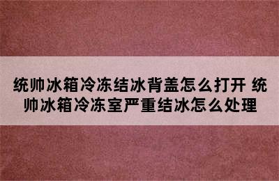 统帅冰箱冷冻结冰背盖怎么打开 统帅冰箱冷冻室严重结冰怎么处理